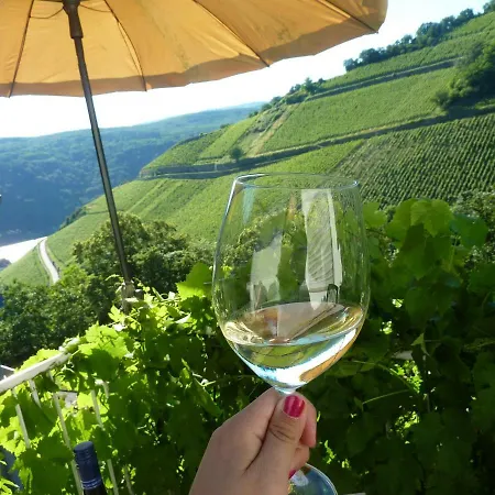 Apartamento Steinhardt - Urlaub Im Rheingau Rüdesheim am Rhein