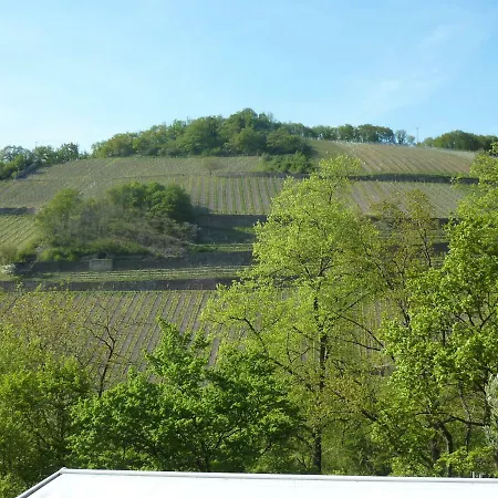 Steinhardt - Urlaub Im Rheingau *