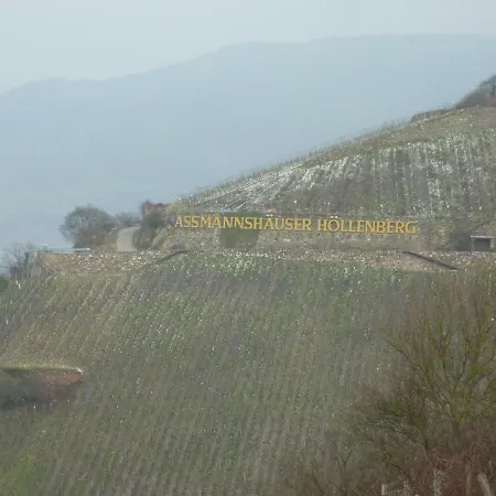 Steinhardt - Urlaub Im Rheingau * Rüdesheim am Rhein