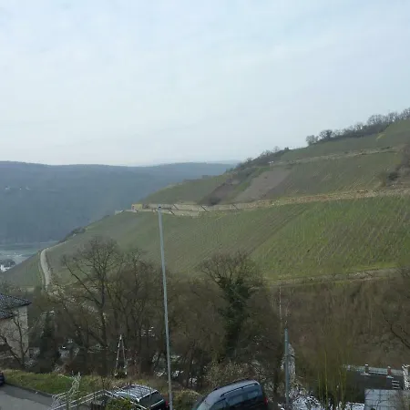 Apartamento Steinhardt - Urlaub Im Rheingau