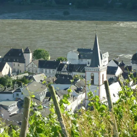 Steinhardt - Urlaub Im Rheingau